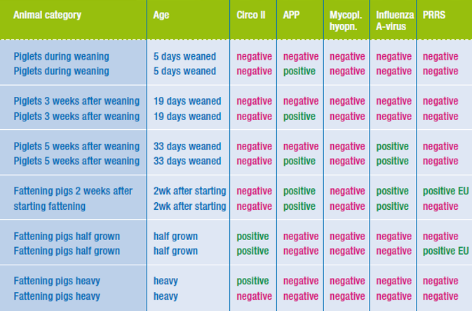 Table 1 Saliva diagnostic, De Heus Animal Nutrition, Pigs.png