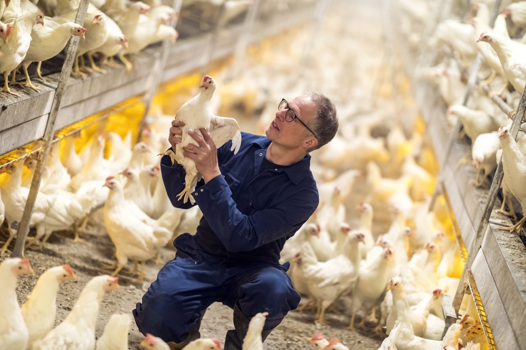 Animal Nutrition Animal Nutrition